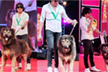 ED debunks Bengaluru man’s claims of importing Rs 50-crore wolfdog